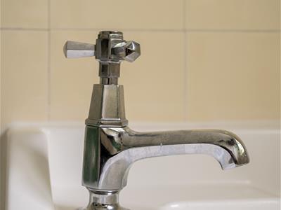 Picture 31